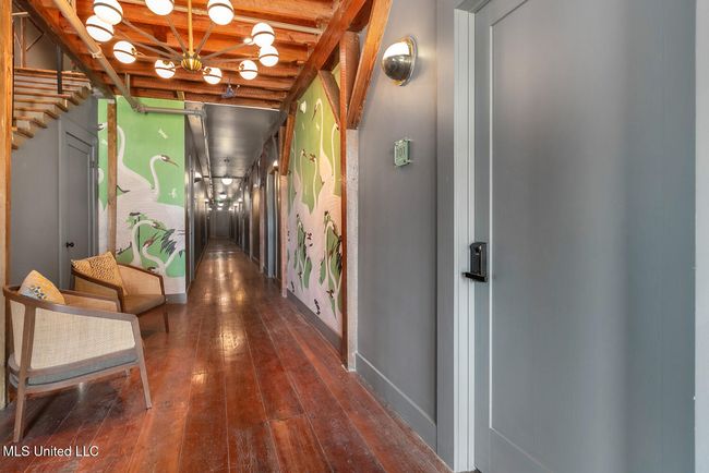 1mls | Image 16