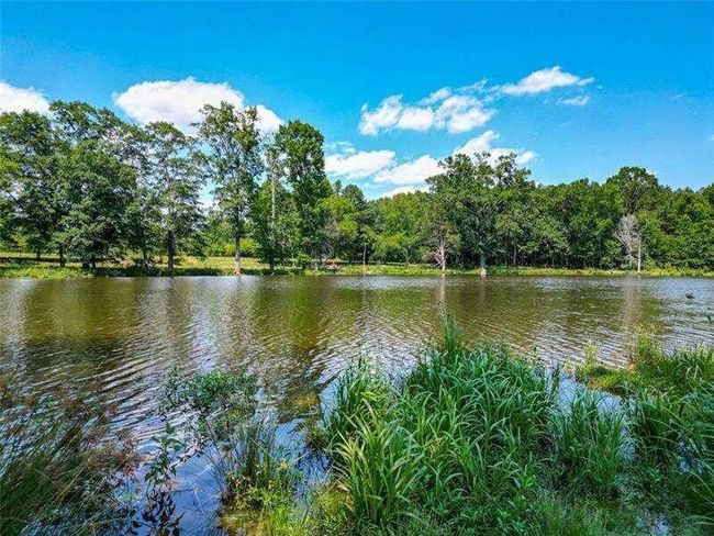 204 George Rd Sw, Home with 0 bedrooms, 0 bathrooms and null parking in Cave Spring GA | Image 30