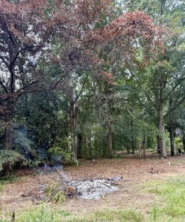 Land in Opelika 3