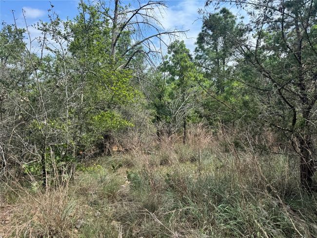 View of landscape | Image 8