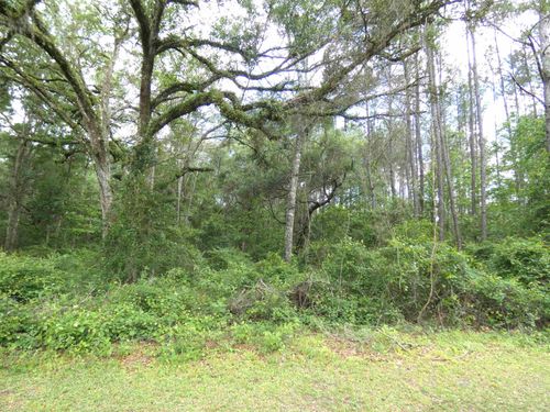 TBD E Cavallo Trail, Monticello, FL, 32344 | Card Image