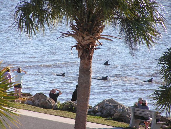 841 2nd St, House other with 3 bedrooms, 2 bathrooms and null parking in CEDAR KEY FL | Image 54