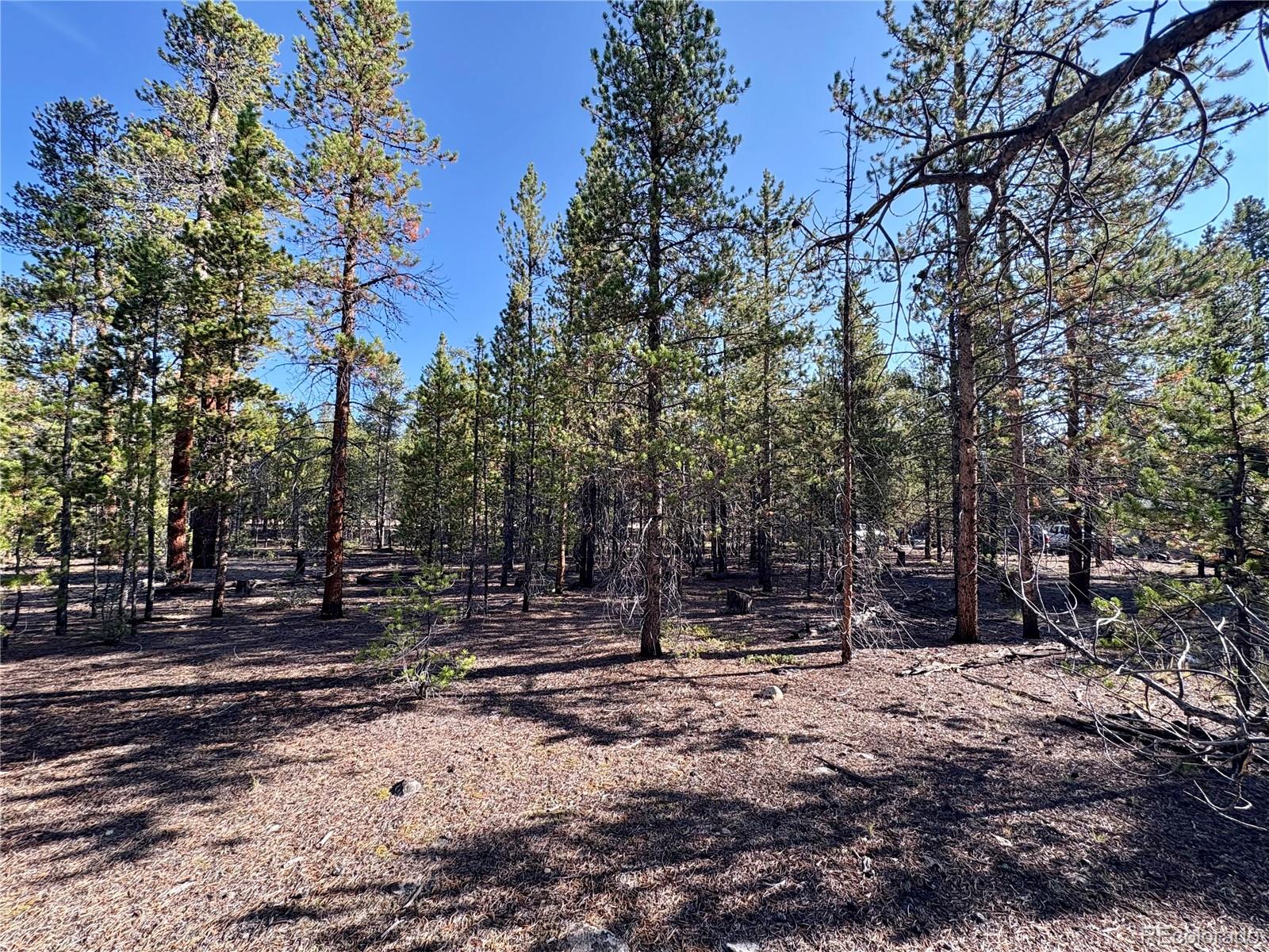 Land in Twin Lakes 5