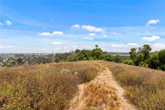 3050 Taylor St, Home with 0 bedrooms, 0 bathrooms and null parking in Riverside CA | Image 28