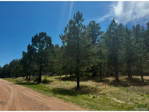 7707 Inca Rd, Larkspur, CO, 80118 | Card Image