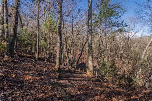 TBD Laird Pl, MC GAHEYSVILLE, VA, 22840 | Card Image