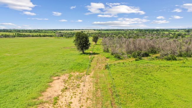 119 - TBD Fm 2689, Home with 0 bedrooms, 0 bathrooms and null parking in Gorman TX | Image 10