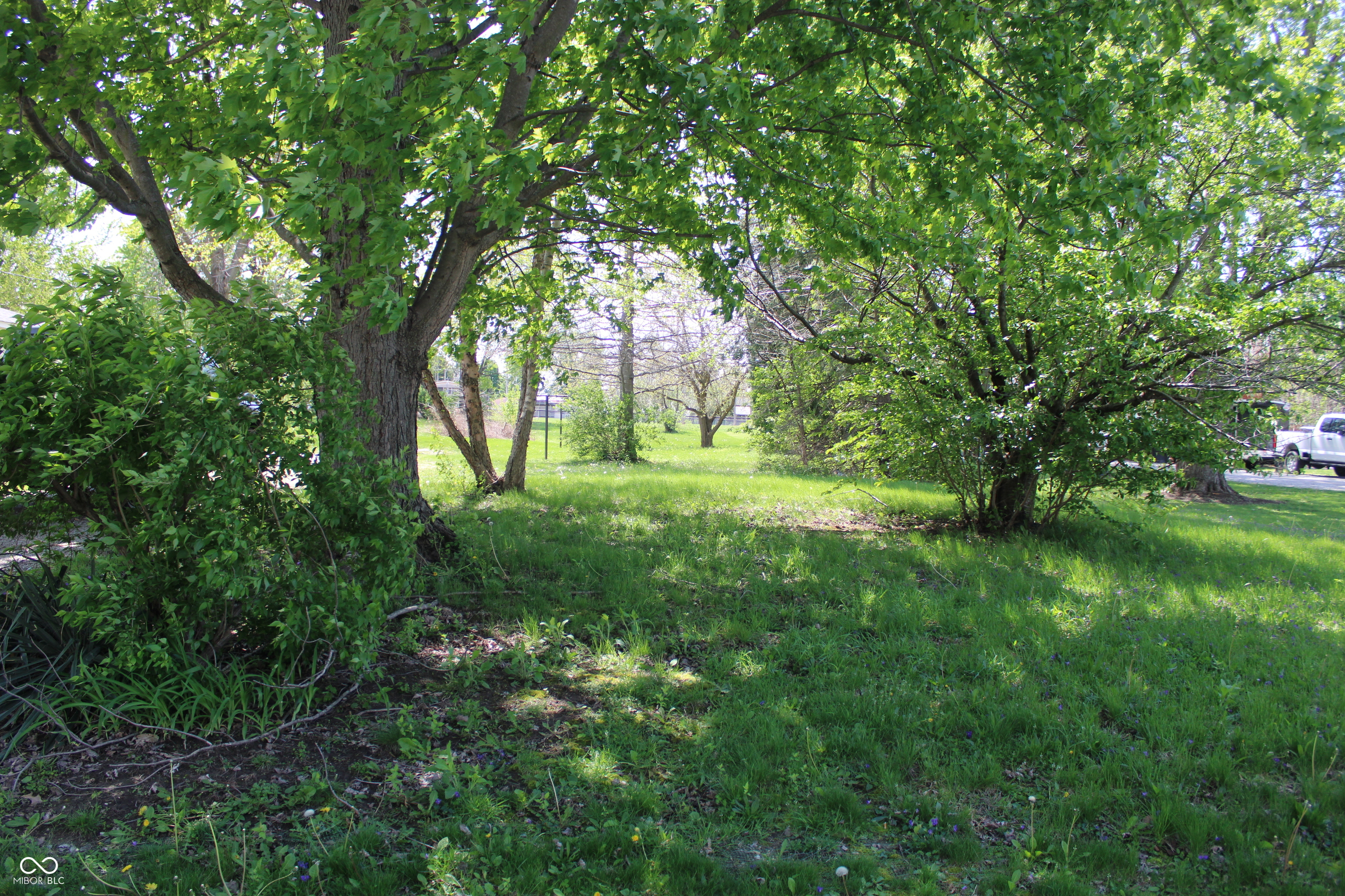 Land in Frankton