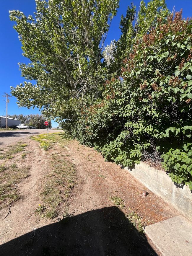 Parking on side of home. Lilac bushes offer wind break and privacy. | Image 21