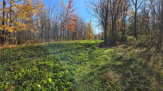 2984 N Weirgor Rd, House other with 4 bedrooms, 1 bathrooms and null parking in EXELAND WI | Image 40