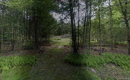TBD Drake Rd, Neversink, NY, 12765 | Card Image