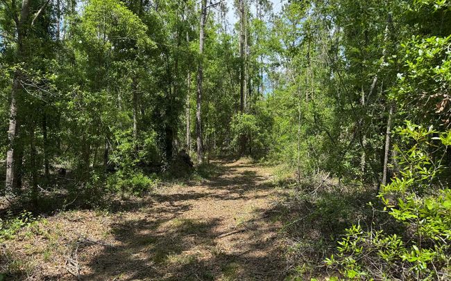 TBD 172 Nd Trce, Home with 0 bedrooms, 0 bathrooms and null parking in LIVE OAK FL | Image 6