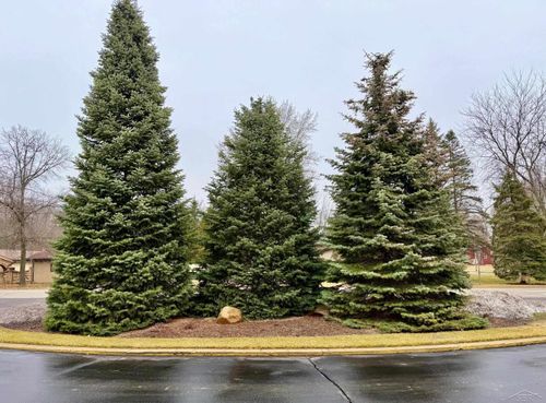 5905 W Michigan Ave, Saginaw, MI, 48638-5993 | Card Image