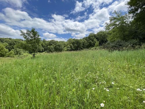 Lot 175 Elk Ct, La Valle, WI, 53941 | Card Image