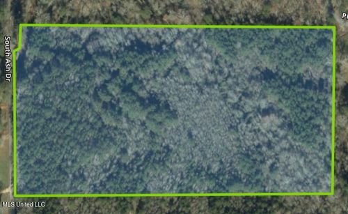 00 Pinola Braxton Rd, Braxton, MS, 39044 | Card Image