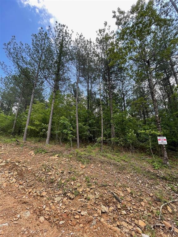 Land in Broken Bow 2