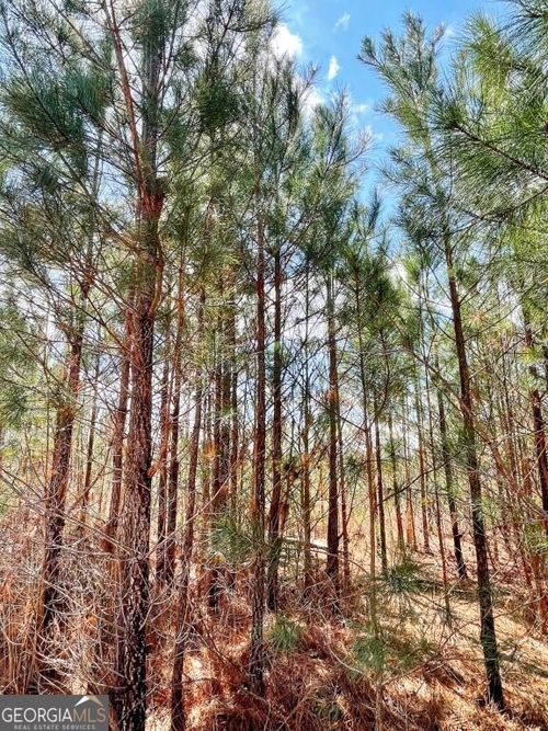 0 Brinkley Rd, Barnesville, GA, 30204 | Card Image
