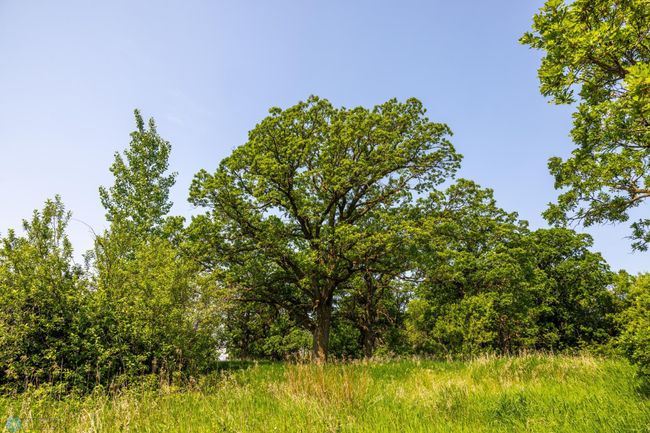 Amdak__Fosston MN - Land_0007.jpg | Image 8