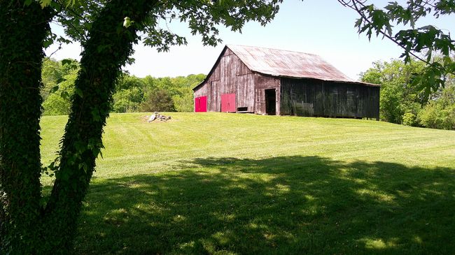 5963 Ky Highway 36 E, Home with 0 bedrooms, 0 bathrooms and null parking in Sanders KY | Image 9