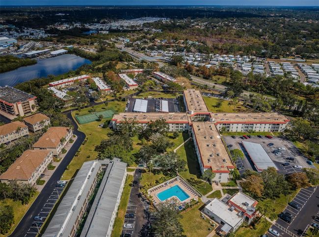 APT-1206 - 2700 Bayshore Blvd, Condo with 2 bedrooms, 1 bathrooms and null parking in DUNEDIN FL | Image 34
