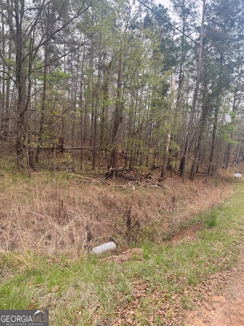 0 Rosedud Court, SPARTA, GA, 31087 | Card Image