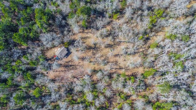35 Old Sign Rd, Home with 1 bedrooms, 1 bathrooms and null parking in Midway TX | Image 24