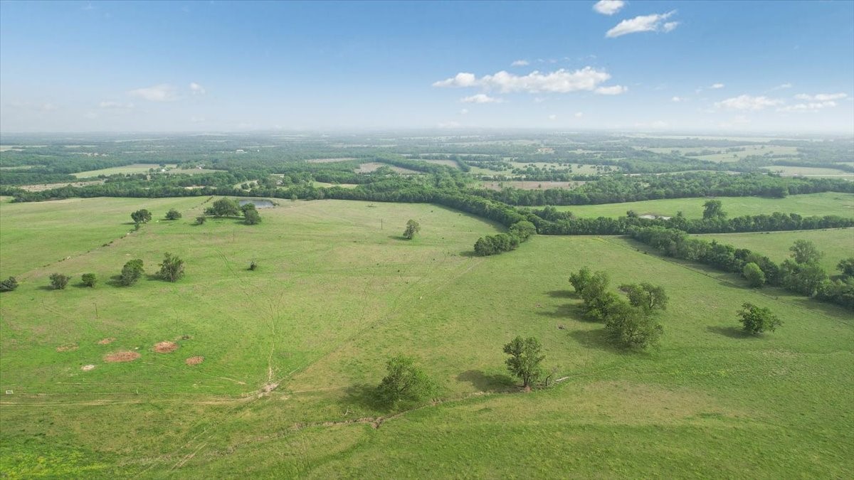 Land in Honey Grove 3