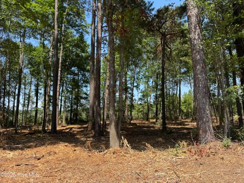 Lot 5 Swamp Fox Hwy E, Tabor City, NC, 28463-9328 | Card Image