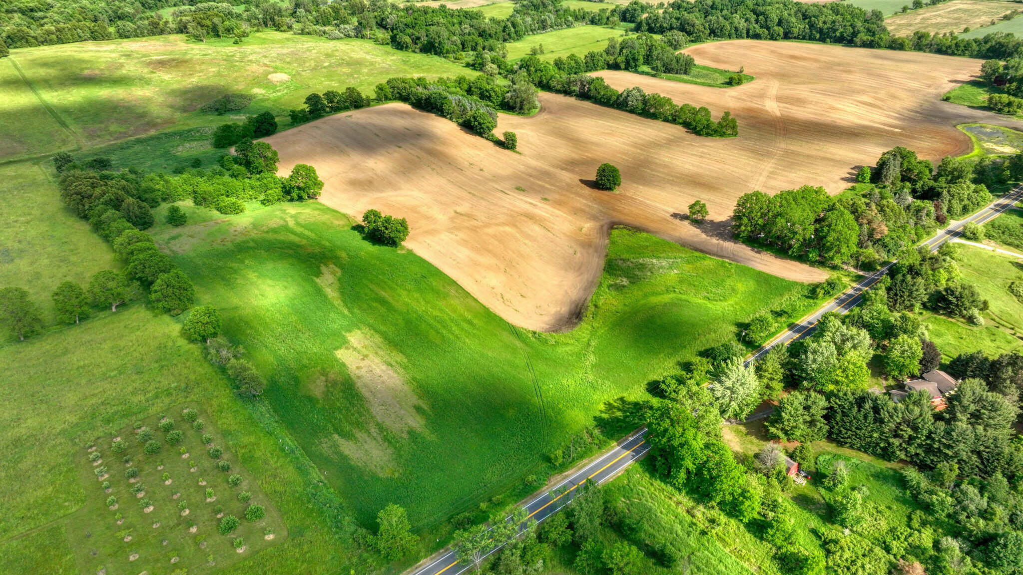 Land in Chelsea 4