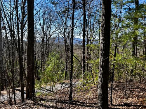 107/125 Chestnut Mountain Road, Reliance, TN, 37369 | Card Image