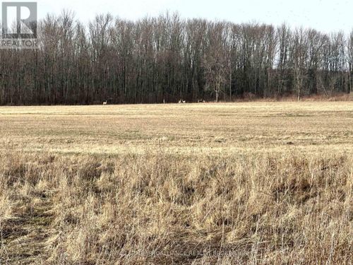 68 3rd Concession Road, Frontenac Islands (The Islands), ON, K0H2S0 | Card Image