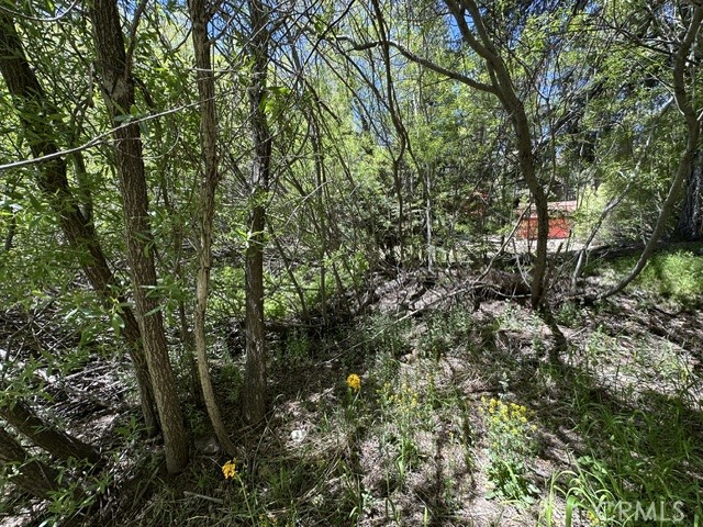Land in Green Valley Lake 4