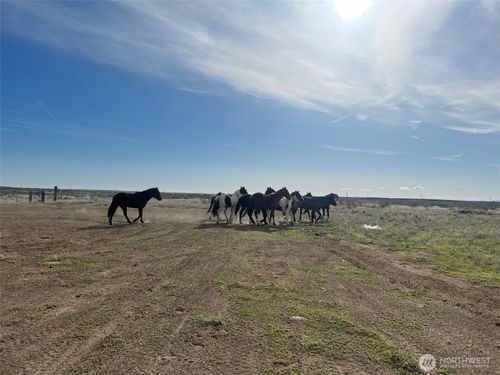 4869 Road 20.6 Ne, Soap Lake, WA, 98851-9007 | Card Image