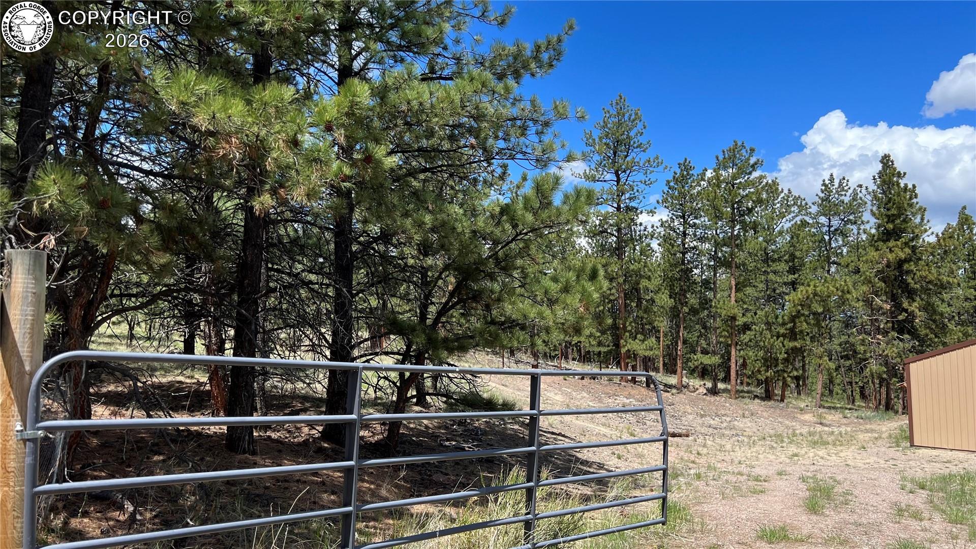 Land in Westcliffe 4