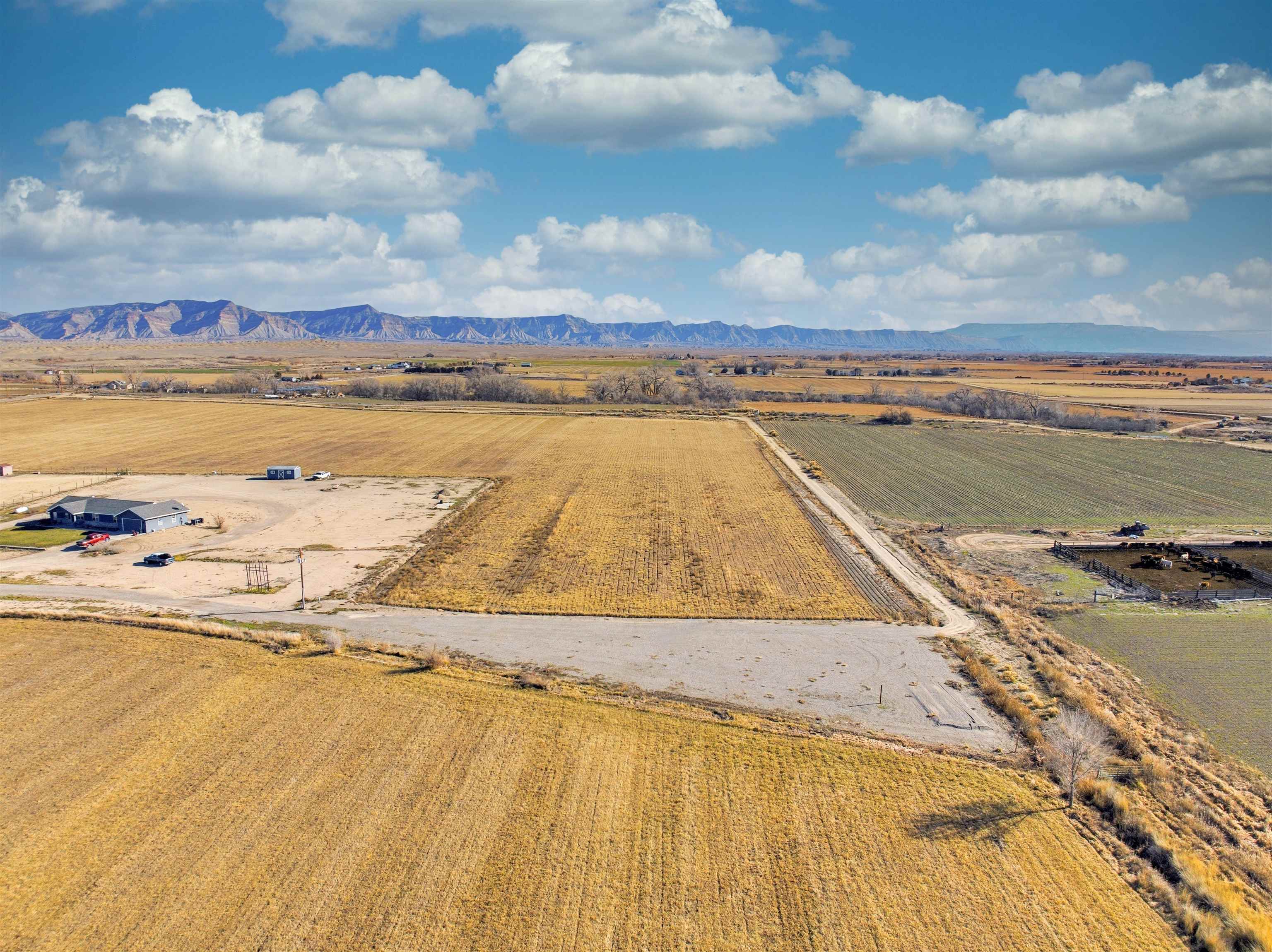 Land in Fruita 4