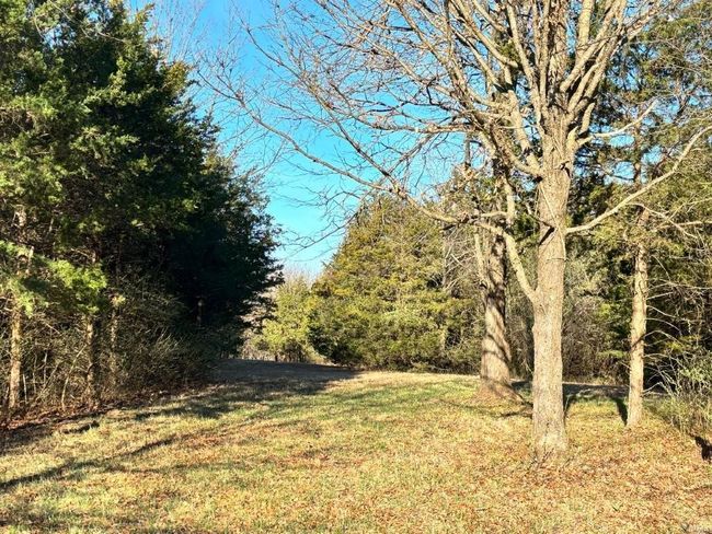 View of yard | Image 19
