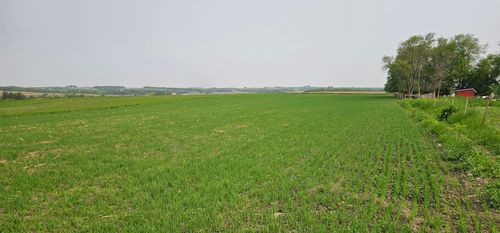 TBD 351st Ave, Harmony, MN, 55939 | Card Image