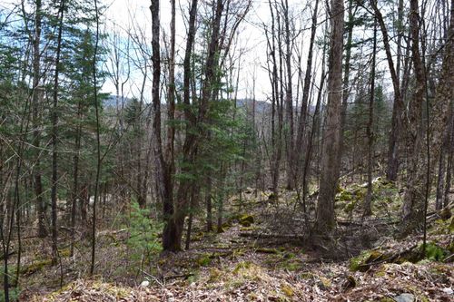 Lot 177 Belknap Drive, Haverhill, NH, 03765 | Card Image