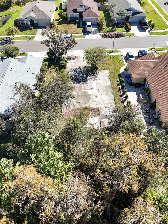 1323 Baythorn Dr, Home with 0 bedrooms, 0 bathrooms and null parking in Wesley Chapel FL | Image 8