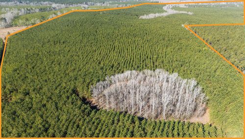 Piney Wood Piney Wood Rd, Saluda, SC, 29138 | Card Image