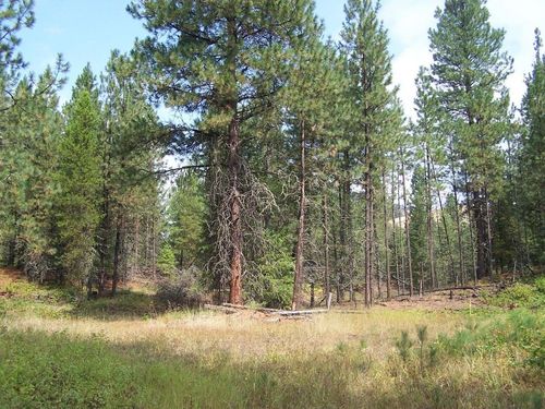 3XXX Lot #13 Larkspur Way, Kettle Falls, WA, 99141-0000 | Card Image