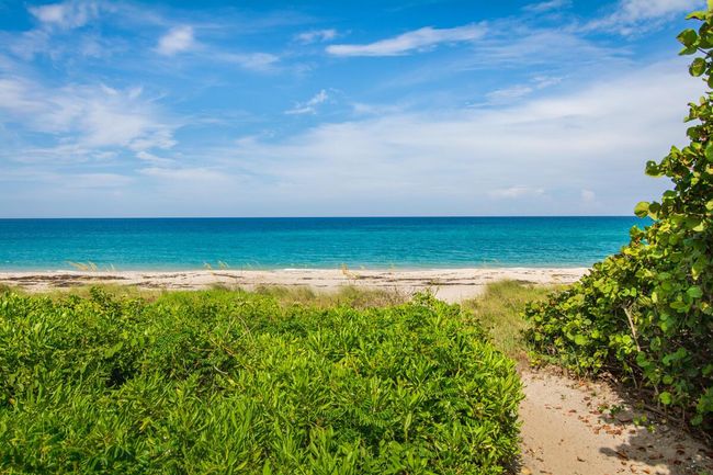 APT-105 - 107 Pond Apple Ln, Condo with 3 bedrooms, 4 bathrooms and null parking in Jupiter FL | Image 30
