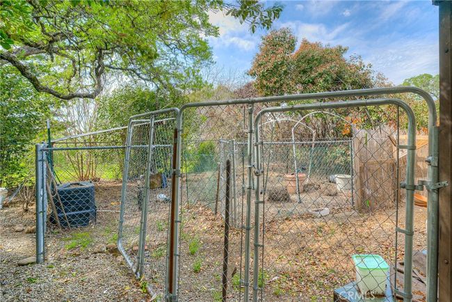 Kennel | Image 21