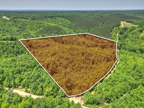 0 Ridgetop Rd, Hampshire, TN, 38461 | Card Image