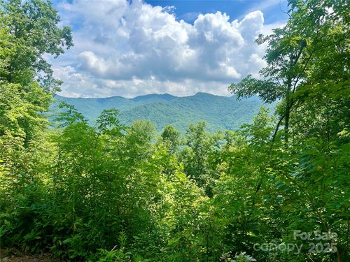 11-0 Hickory Cove Rd, Bryson City, NC, 28713 | Card Image