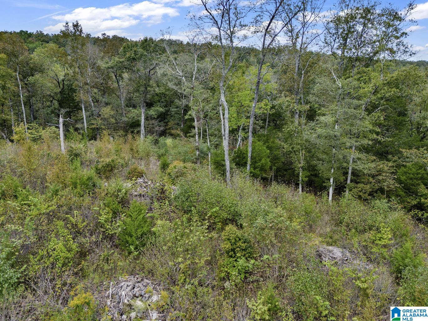 Land in REMLAP 4