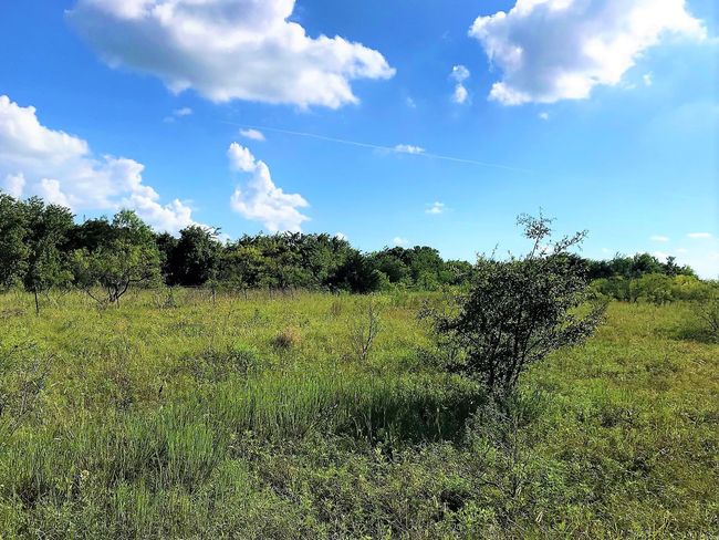 182 Hcr 3352, Home with 0 bedrooms, 0 bathrooms and null parking in Hubbard TX | Image 31