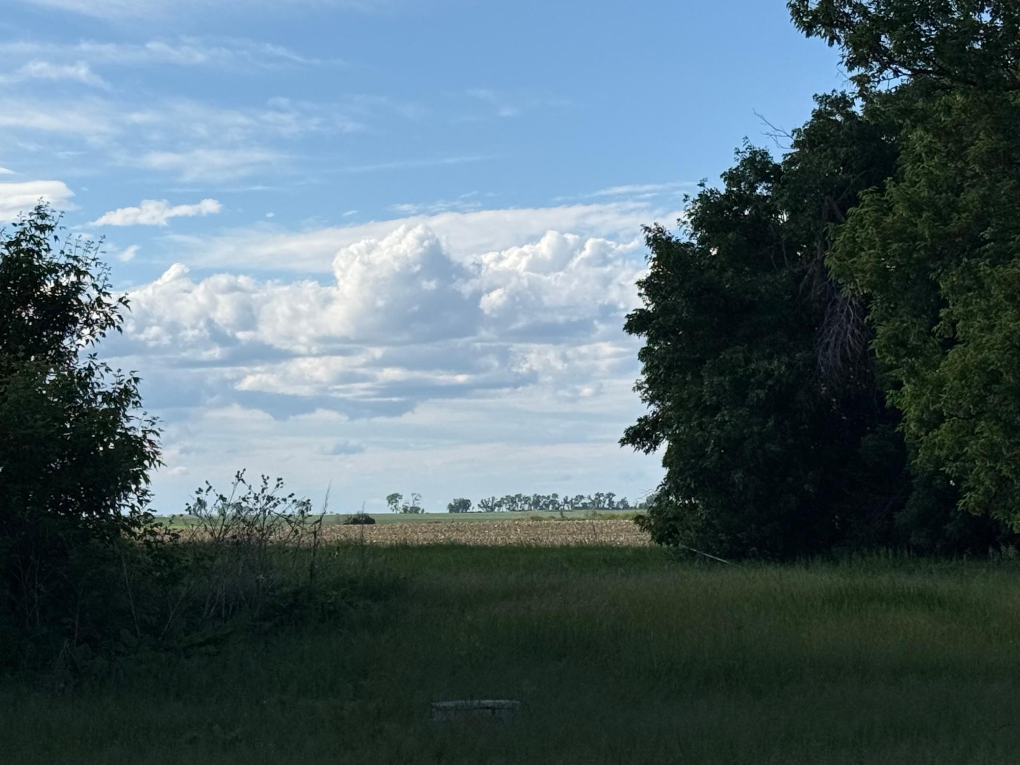 Land in Webster 4