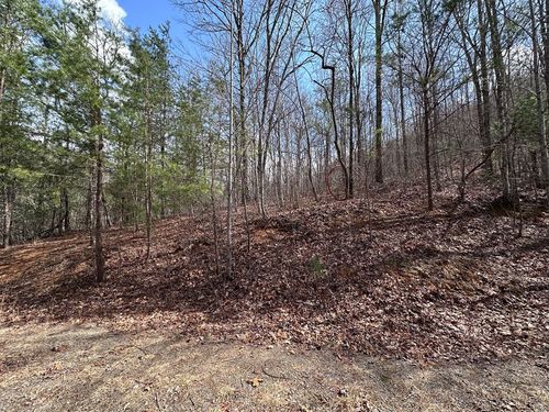 TBD Pack Mountain Rd, Murphy, NC, 28906 | Card Image