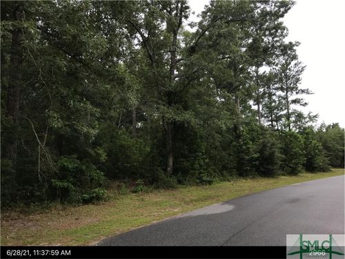 0 White Chimney Cove Road Ne, Townsend, GA, 31331 | Card Image